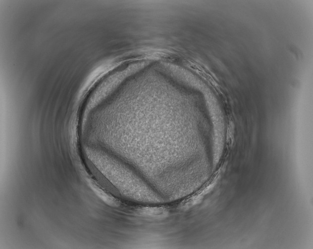 X0000111640101200908281206