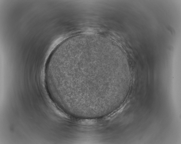 X0000111640102200908281206