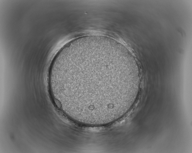 X0000111640103200908281206