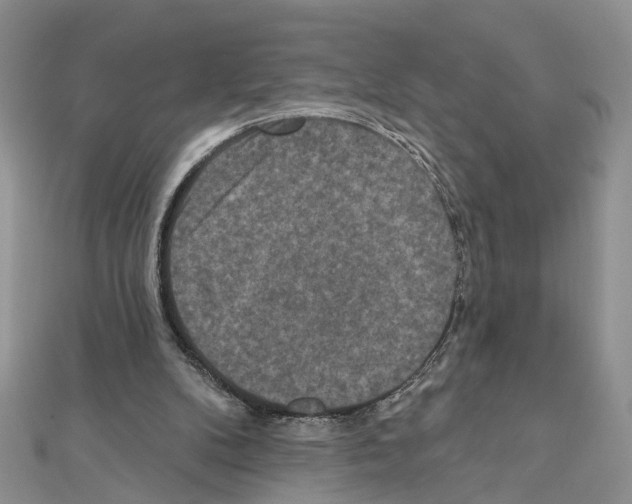 X0000111640104200908281206