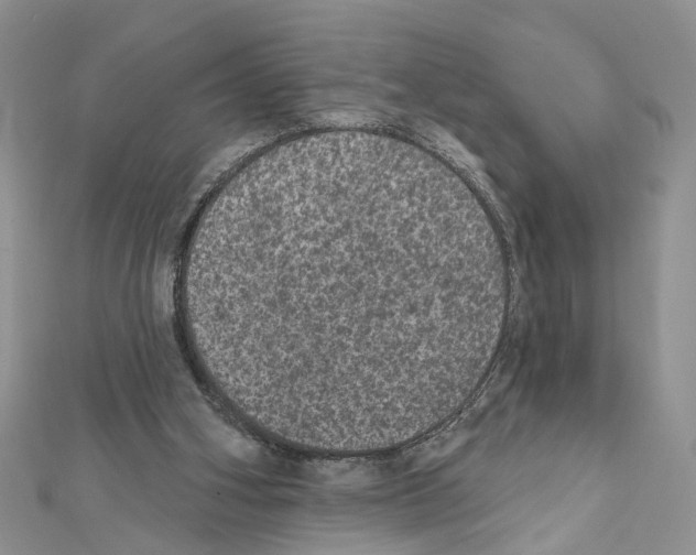 X0000111640106200908281206