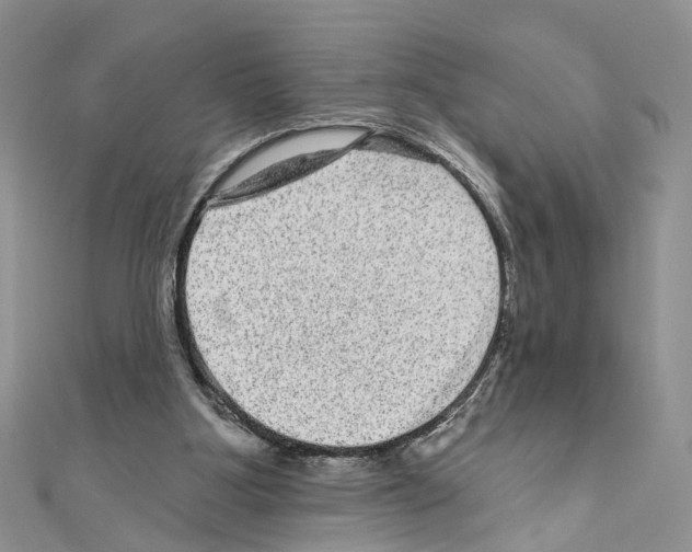 X0000111640107200908281206