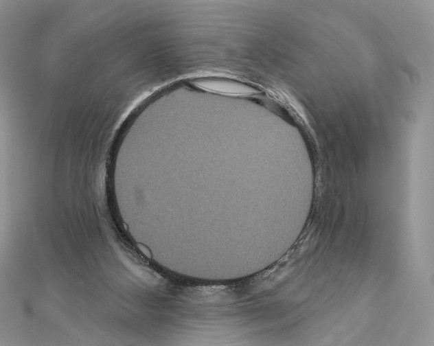 X0000111640108200908281206