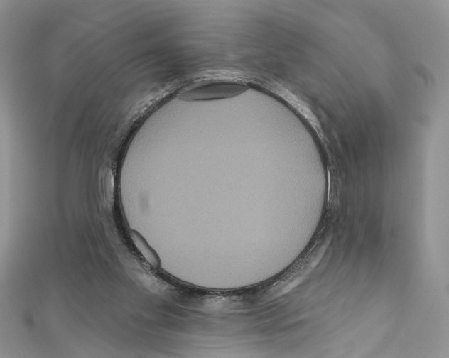 X0000111640109200908281206