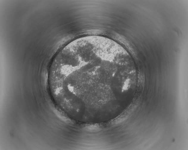 X0000111640110200908281205