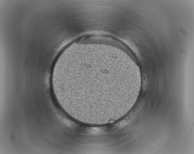 X0000111640111200908281205