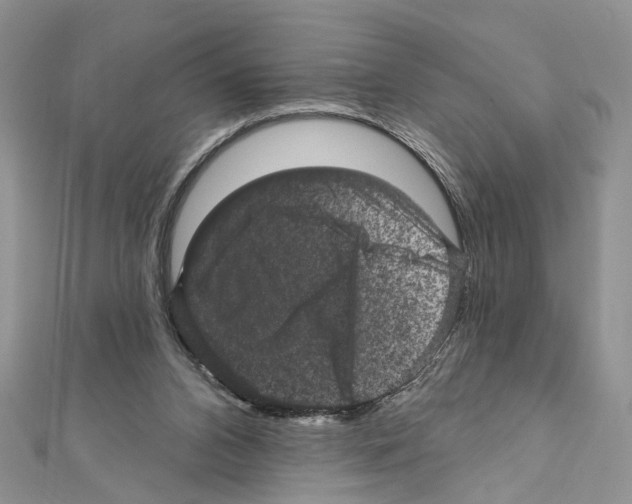 X0000111640112200908281205