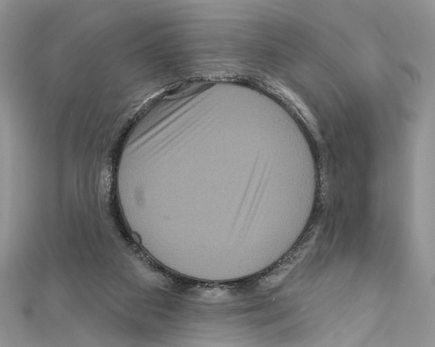 X0000111640113200908281205