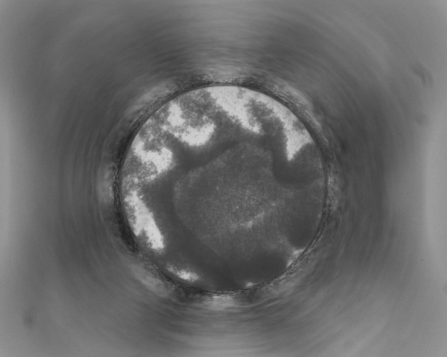 X0000111640114200908281205