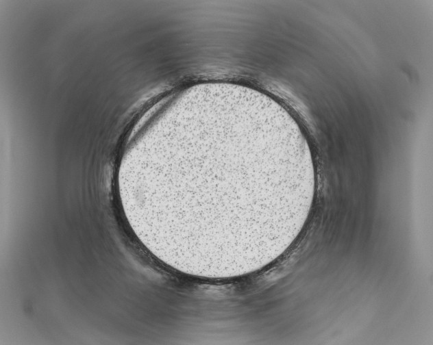 X0000111640115200908281205