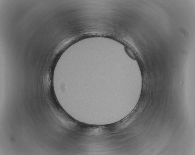 X0000111640116200908281205