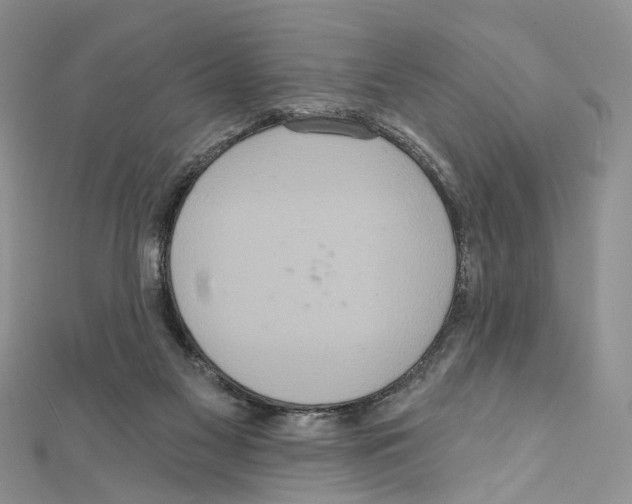 X0000111640117200908281205