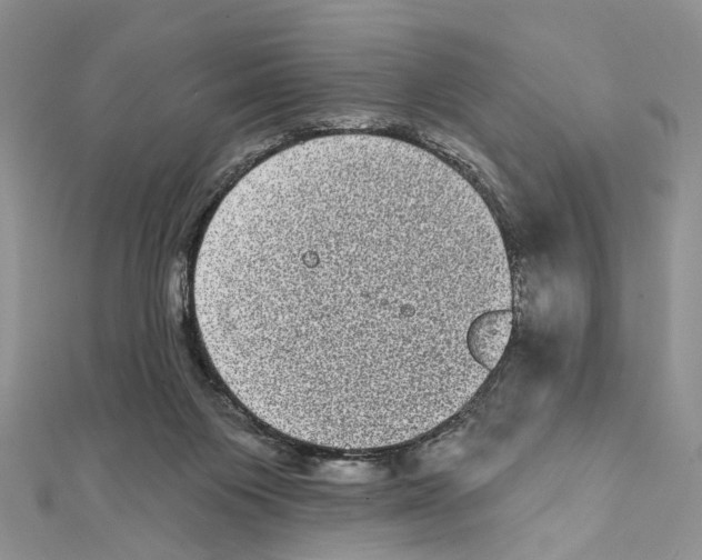 X0000111640119200908281205
