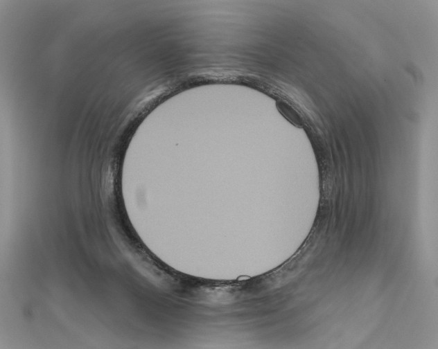 X0000111640120200908281205