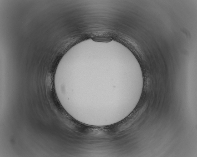 X0000111640121200908281205