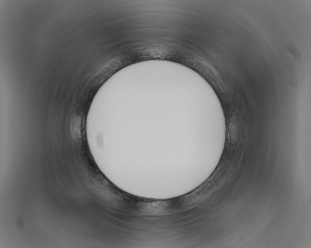 X0000111640122200908281205