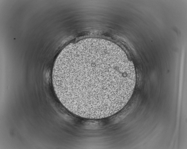 X0000111640123200908281205