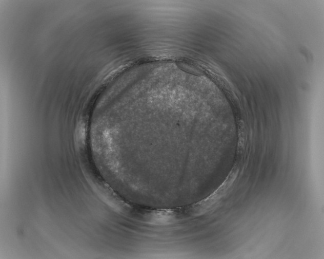 X0000111640124200908281205