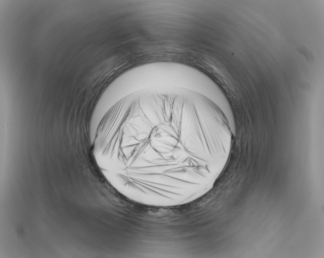 X0000111640125200908281205
