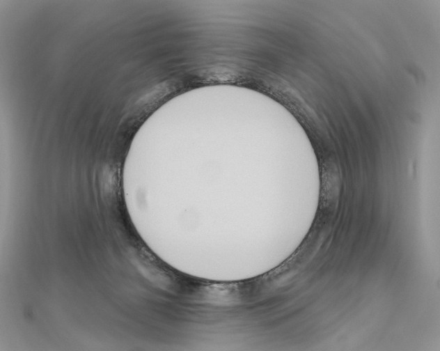 X0000111640126200908281205