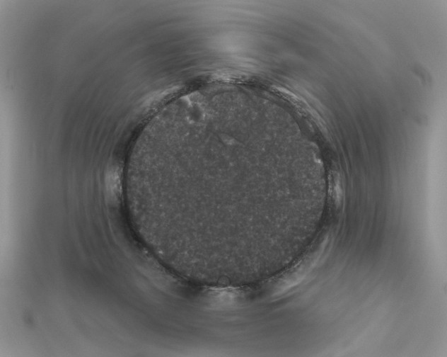 X0000111640127200908281205
