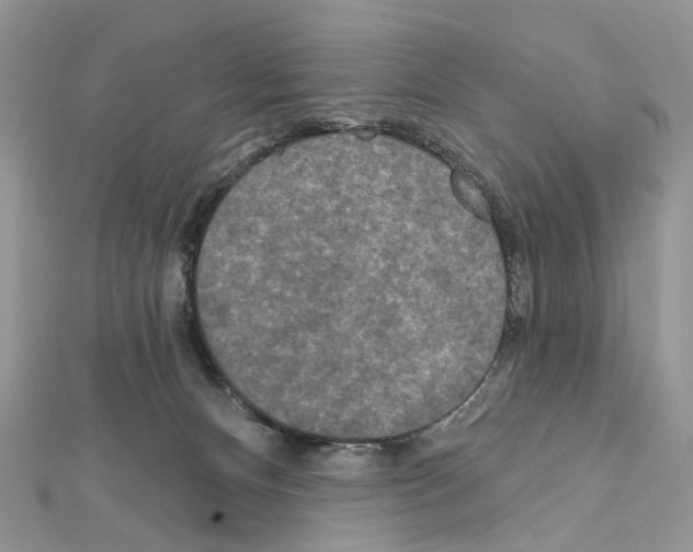 X0000111640128200908281205