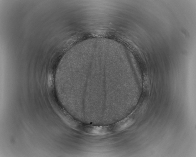 X0000111640130200908281205