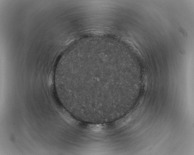 X0000111640131200908281205
