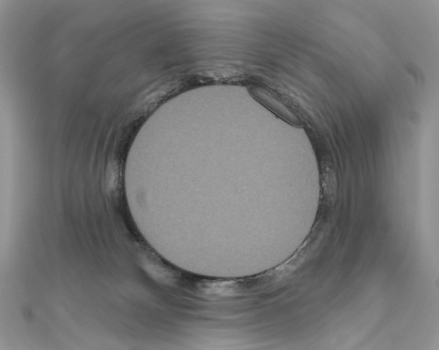 X0000111640132200908281205