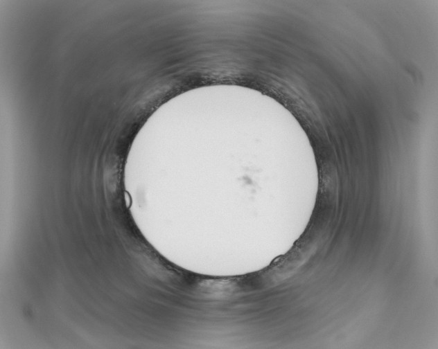 X0000111640133200908281205