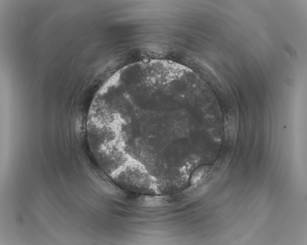X0000111640134200908281205