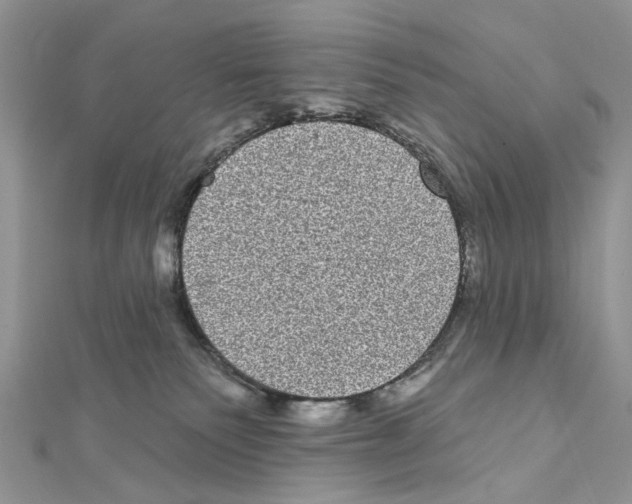 X0000111640135200908281205