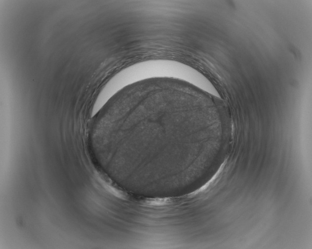 X0000111640136200908281205