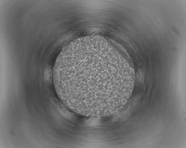 X0000111640138200908281205