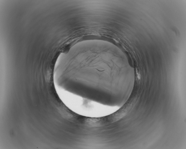 X0000111640139200908281205