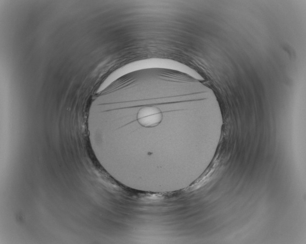 X0000111640140200908281205