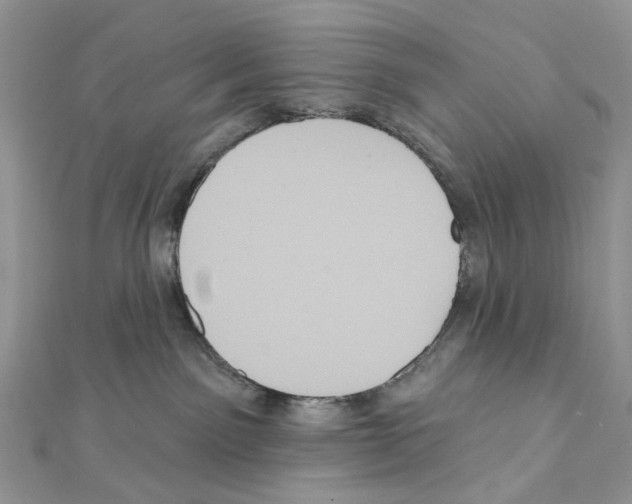 X0000111640141200908281205