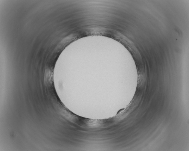 X0000111640142200908281205