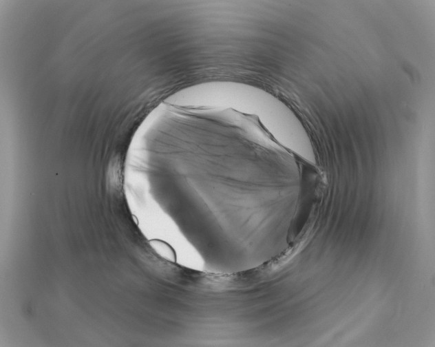 X0000111640143200908281205