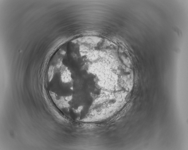 X0000111640145200908281204