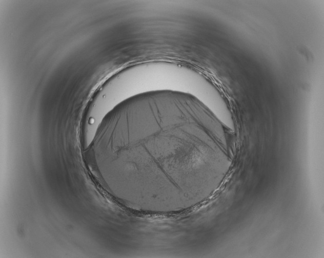 X0000111640146200908281204