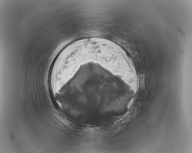 X0000111640147200908281204