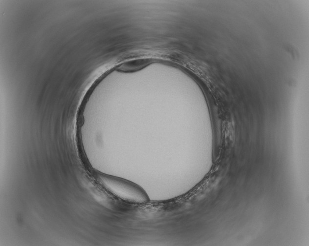 X0000111640148200908281204
