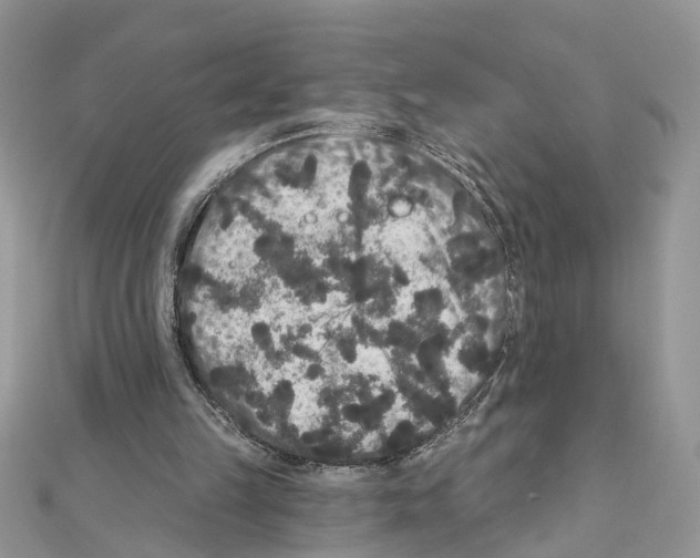 X0000111640149200908281204