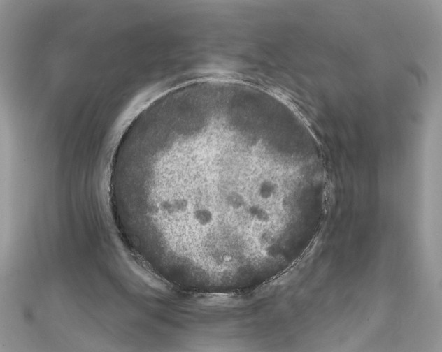 X0000111640151200908281205