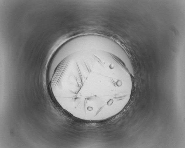 X0000111640152200908281205