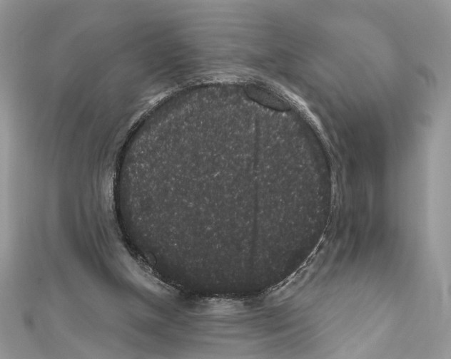 X0000111640154200908281205