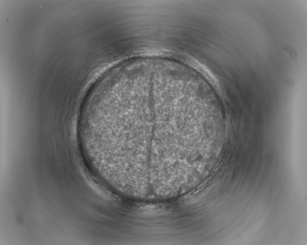 X0000111640155200908281205
