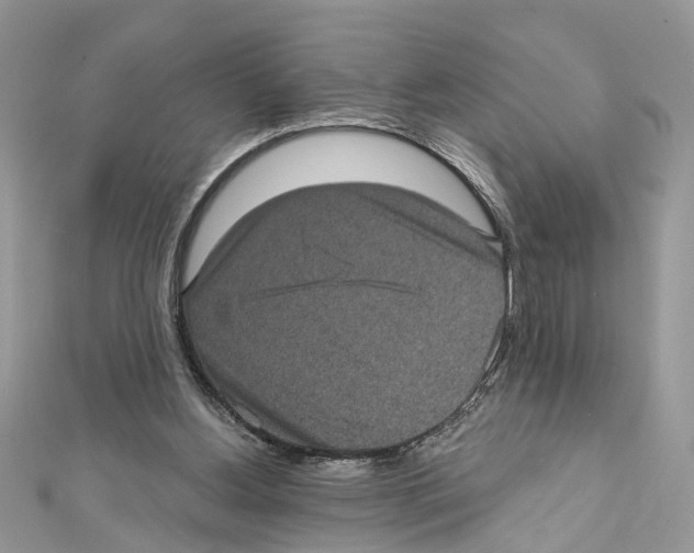X0000111640156200908281205