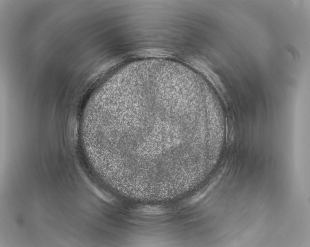 X0000111640157200908281205
